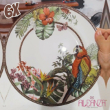 Prato Raso Paradiso Alleanza 6 un